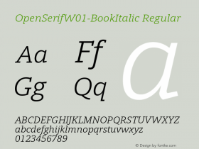 OpenSerif-BookItalic