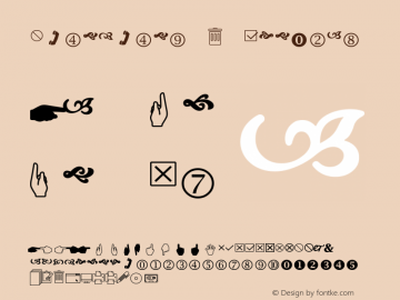 Wingdings 2