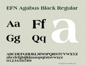 EFN Agabus Black