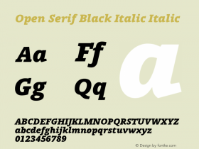 Open Serif Black Italic