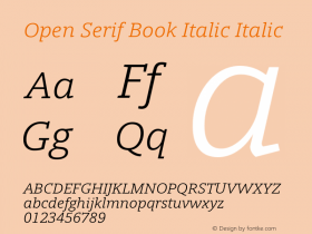 Open Serif Book Italic