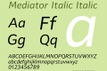 Mediator Italic