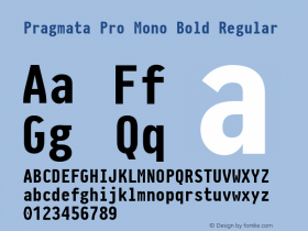 Pragmata Pro Mono Bold