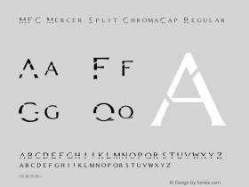 MFC Mercer Split ChromaCap