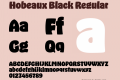 Hobeaux Black