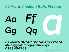 FS Aldrin Medium Italic