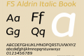 FS Aldrin Italic