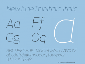 NewJuneThinItalic