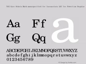 TeX Gyre Schola Math monospacified for Inconsolata LGC for Powerline