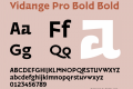 Vidange Pro Bold