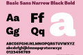 Basic Sans Narrow Black