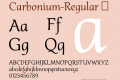 Carbonium-Regular