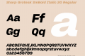 Sharp Grotesk SmBold Italic 20