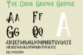 The Crow Grunge