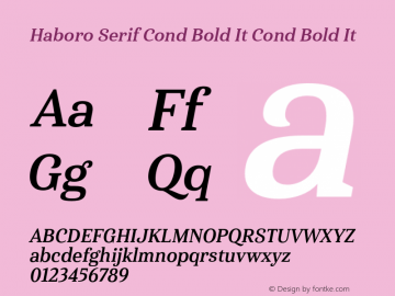 Haboro Serif Cond Bold It