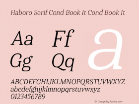 Haboro Serif Cond Book It