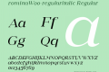 romina-regularitalic