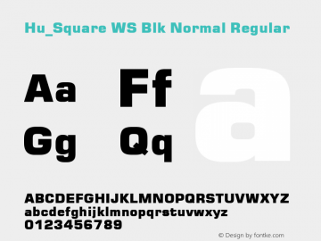 Hu_Square WS Blk Normal