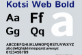 Kotsi Web