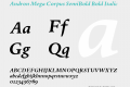 Andron Mega Corpus SemiBold