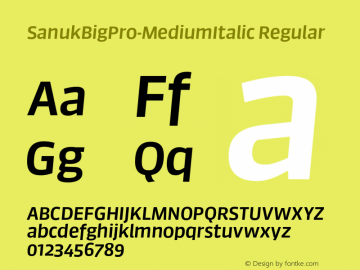 SanukBigPro-MediumItalic