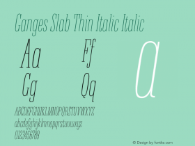 Ganges Slab Thin Italic