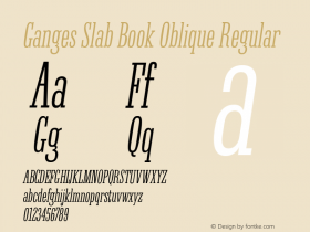 Ganges Slab Book Oblique