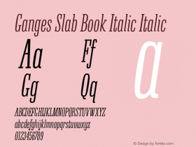 Ganges Slab Book Italic