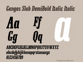 G国际音标扩展Italic字体家族下载(第7页)-