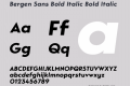 Bergen Sans Bold Italic