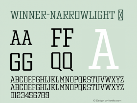 Winner-NarrowLight