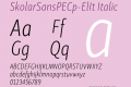 SkolarSansPECp-ElIt