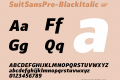 SuitSansPro-BlackItalic