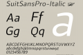 SuitSansPro-Italic