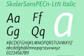 SkolarSansPECn-LtIt