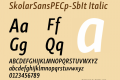 SkolarSansPECp-SbIt