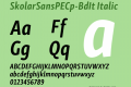 SkolarSansPECp-BdIt