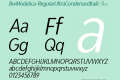 BwModelica-RegularUltraCondensedItalic