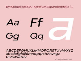 BwModelicaSS02-MediumExpandedItalic