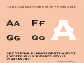 FM Bolyar Engraved One OPro 900