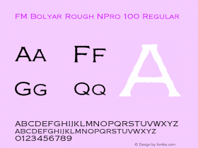 FM Bolyar Rough NPro 100