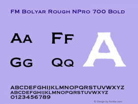 FM Bolyar Rough NPro 700