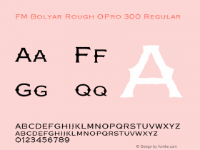 FM Bolyar Rough OPro 300