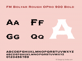 FM Bolyar Rough OPro 900