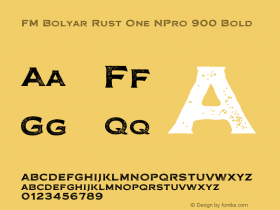 FM Bolyar Rust One NPro 900