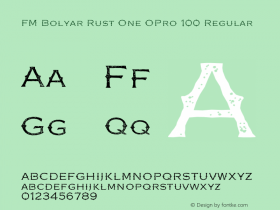 FM Bolyar Rust One OPro 100