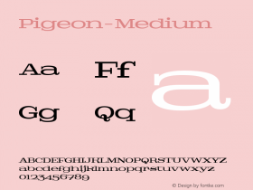 Pigeon-Medium