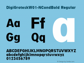 DigiGrotesk-NCondBold