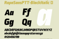 RopaSansPTT-BlackItalic