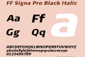 FF Signa Pro Black